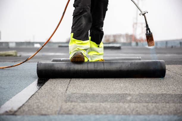 Best Asphalt Shingle Roofing  in Heyworth, IL